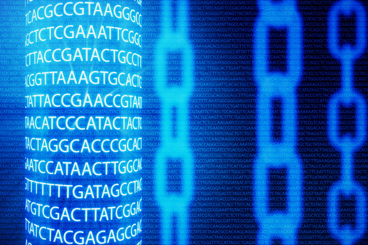 shutterstock_1390455878